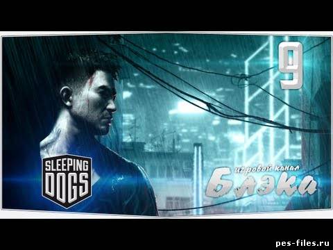 Sleeping Dogs #9 - Слежка
